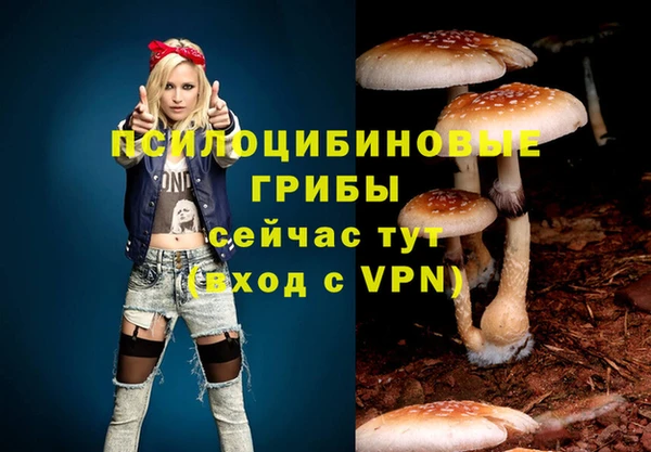 скорость Вязники