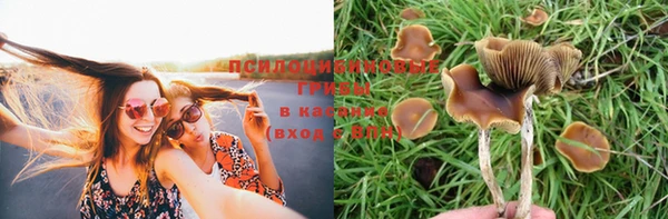 скорость Вязники
